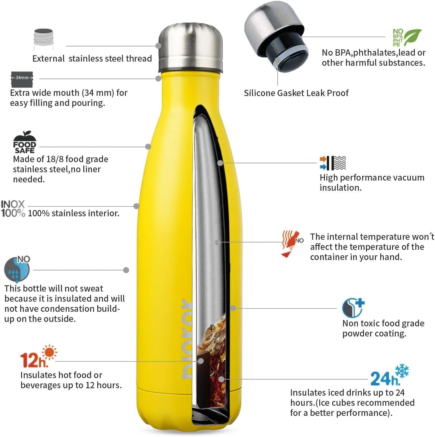 Insulated Stainless Steel Water Bottle